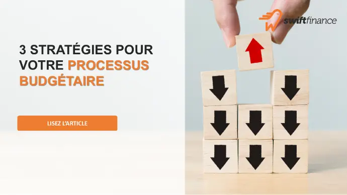 Un article sur les stratégies possibles pour le processus budgétaire 