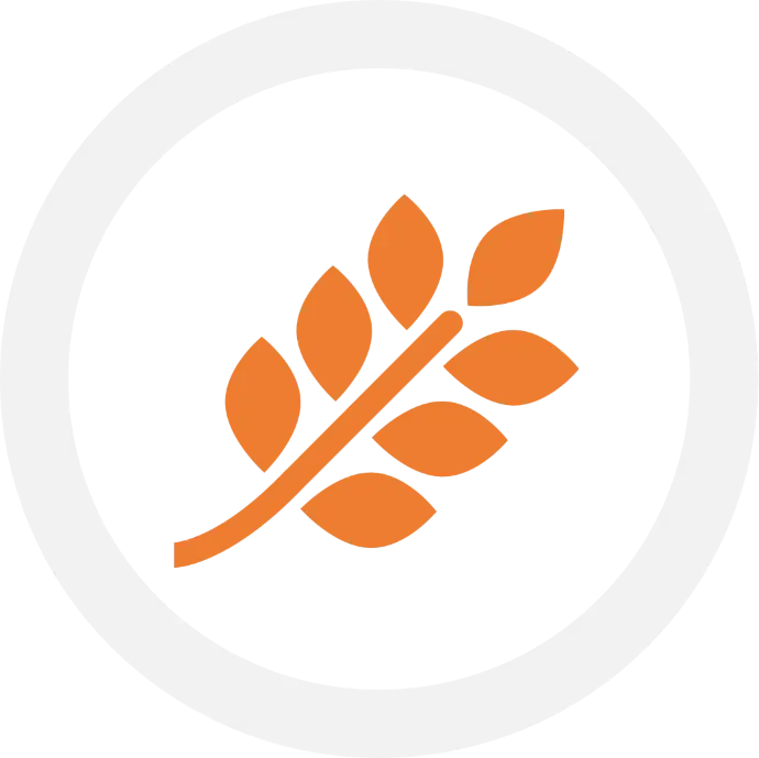 Modélisation de la comptabilité par fonds dans le modèle financier analytique centralisé de Swiftfinance